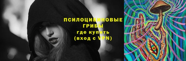 спиды Лиски