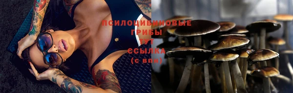спиды Лиски