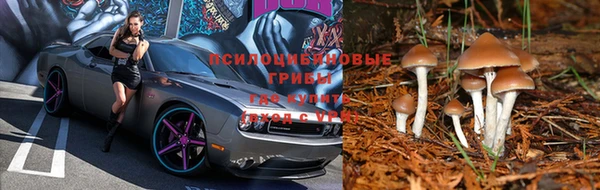 спиды Лиски