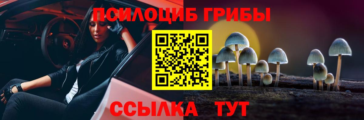 Галлюциногенные грибы мицелий  хочу   Казань  Вход с VPN 